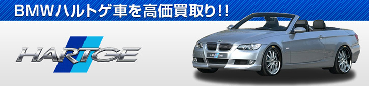 201_BMWハルトゲ
