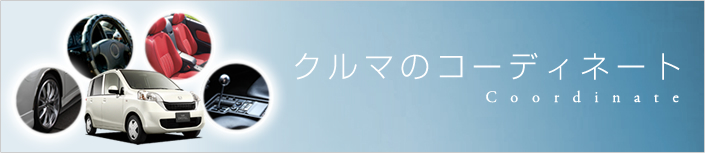 クルマのコーディネート特集