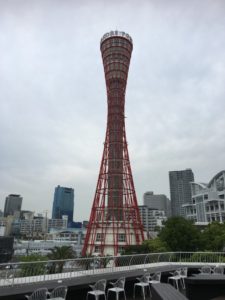 IMG_2498