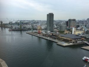 IMG_2502