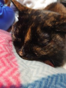 20-10-22-22-31-56-823_photo