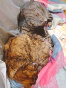 21-05-03-14-49-02-313_photo