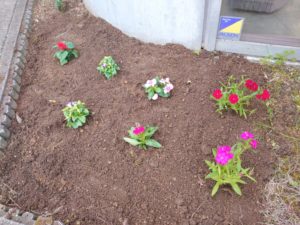 21-05-08-18-14-59-810_deco