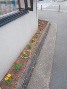 21-05-08-18-16-11-675_deco