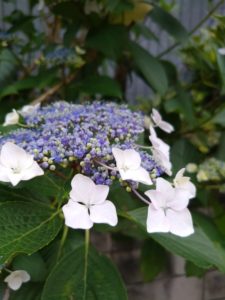 21-06-02-18-31-11-928_photo