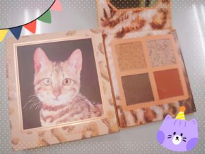 21-06-27-10-28-28-299_deco