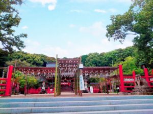 PICNIC_20210826_163831490