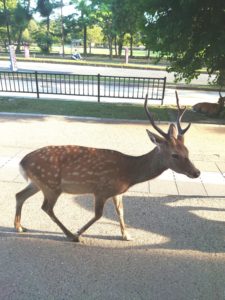 21-09-04-18-36-24-494_deco