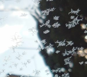 22-01-21-15-41-43-753_deco