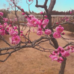 PICNIC_20220224_171429039