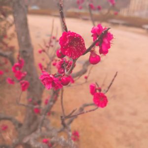 PICNIC_20220224_171458840