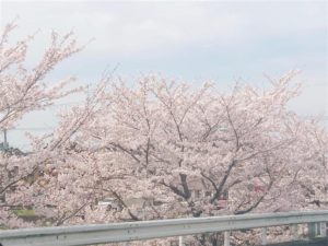 0ccc144b-16ba-4535-8fee-39a1e53ef6a8