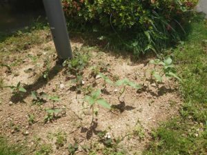 8e48066b-53f6-4f28-bfcc-ed0e9ba9c8b9