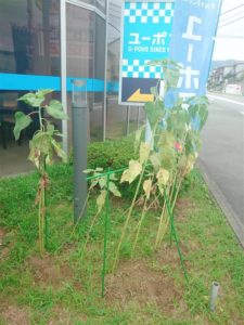 134bf3ac-5c9f-4fad-99a4-4ceea35f6a44