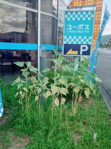 544a121d-6f75-4b8a-9a2e-d90b269e5847