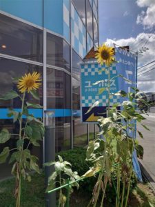 2086a3dc-ced6-40ba-93ba-88e03018ccd7