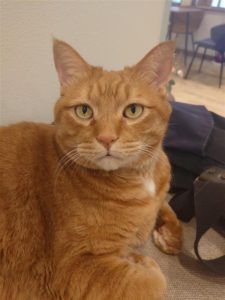 4c2ed170-6c88-417c-8c80-92541010e53f