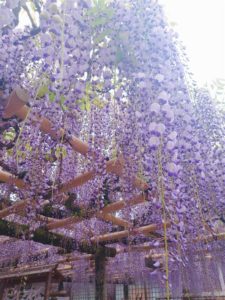 86e3541a-a70e-495b-b90c-78ab537e9bbf