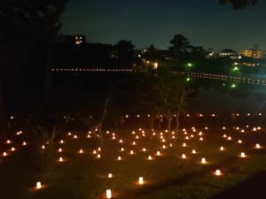 17b5b39c-febc-423a-8177-bd3ecc3fbc2c