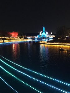 IMG_2642