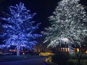IMG_2654