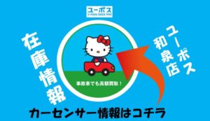 ｶｰｾﾝｻｰ画像2