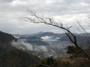 line_204112894438411
