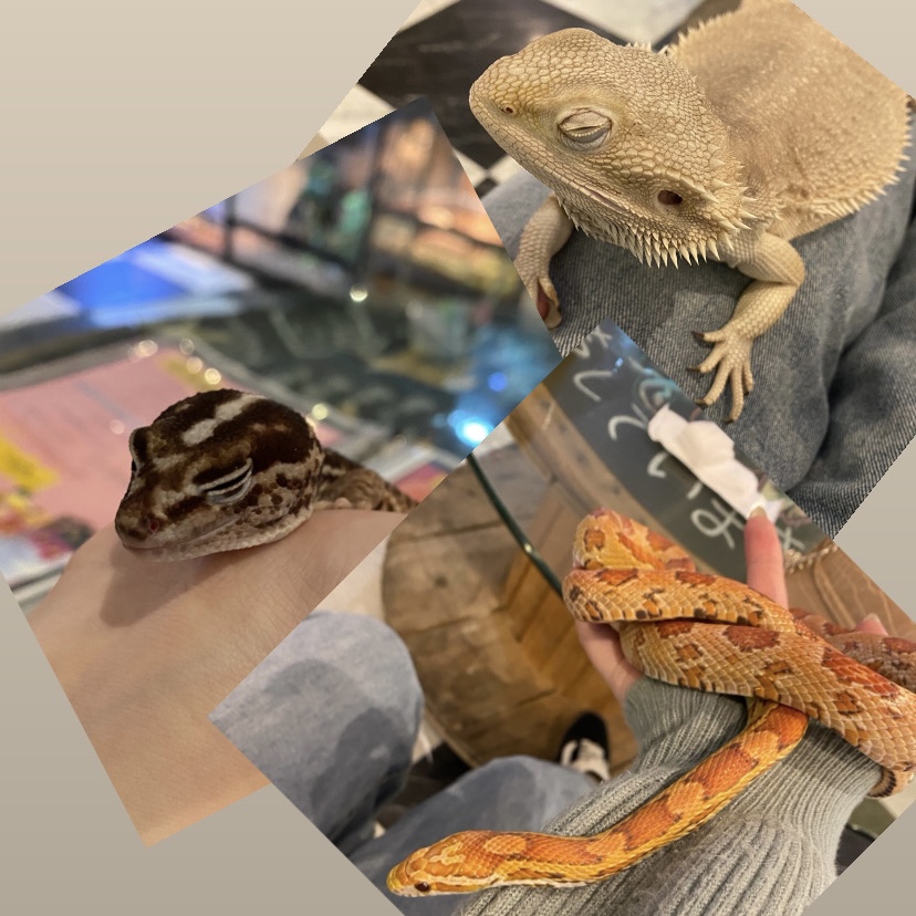 5661C6B2-1355-4AAF-B6A6-769FF416DFC1