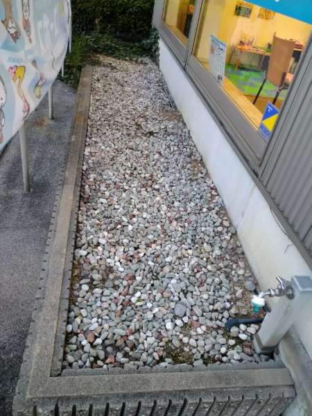 DSC_0017_20200409181914