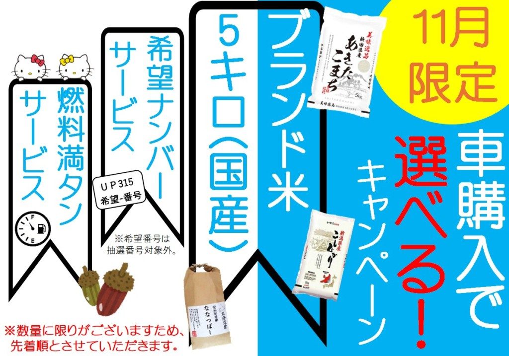 11月キャンペーン 1