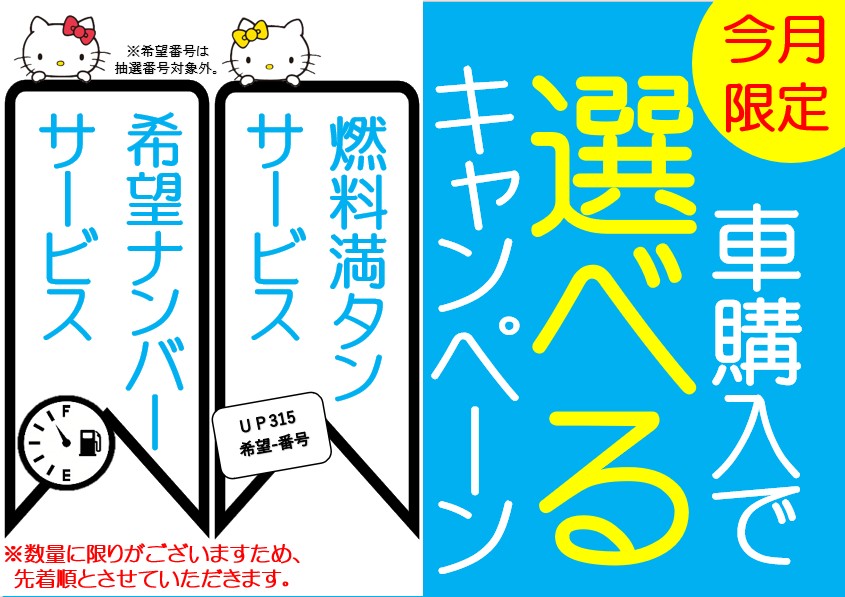 3-1.選べるキャンペーン