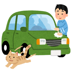car_neko_banban