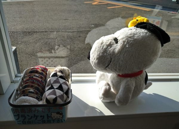 DSC_0094_20210216151329