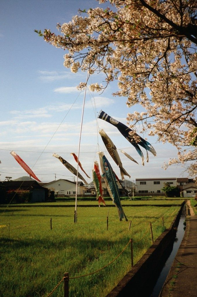 photo-1618460591469-373e81a28622