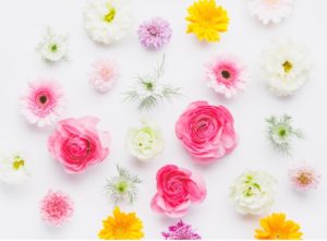 Cut2022_0227_1622_41