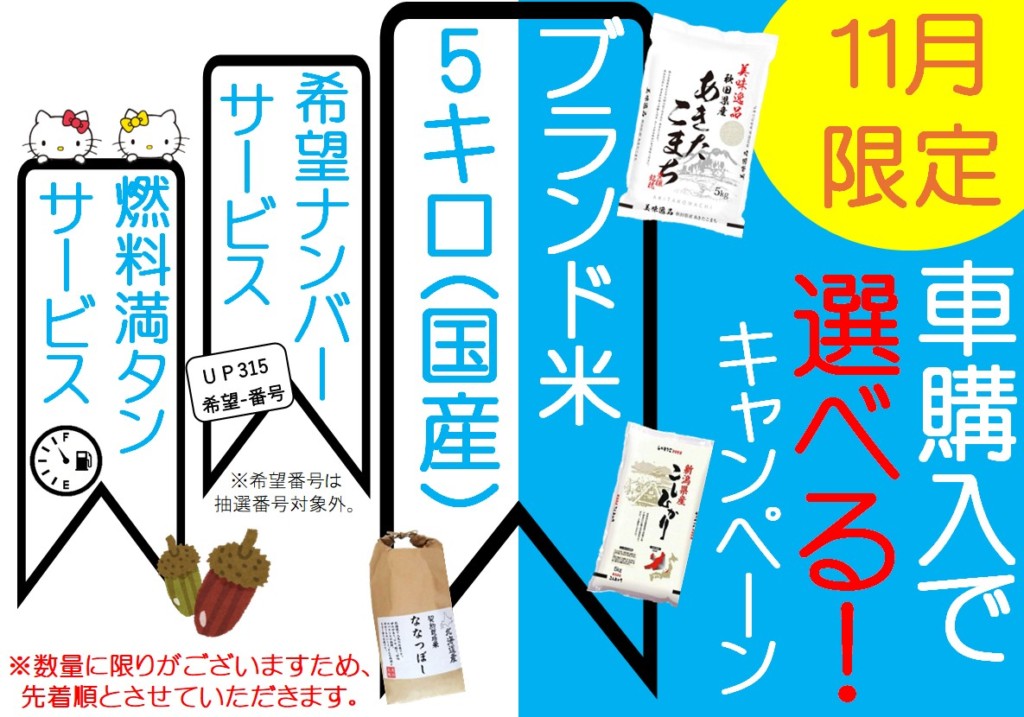 11月キャンペーン 1