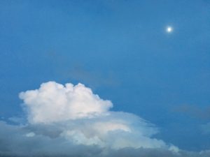 IMG_7201