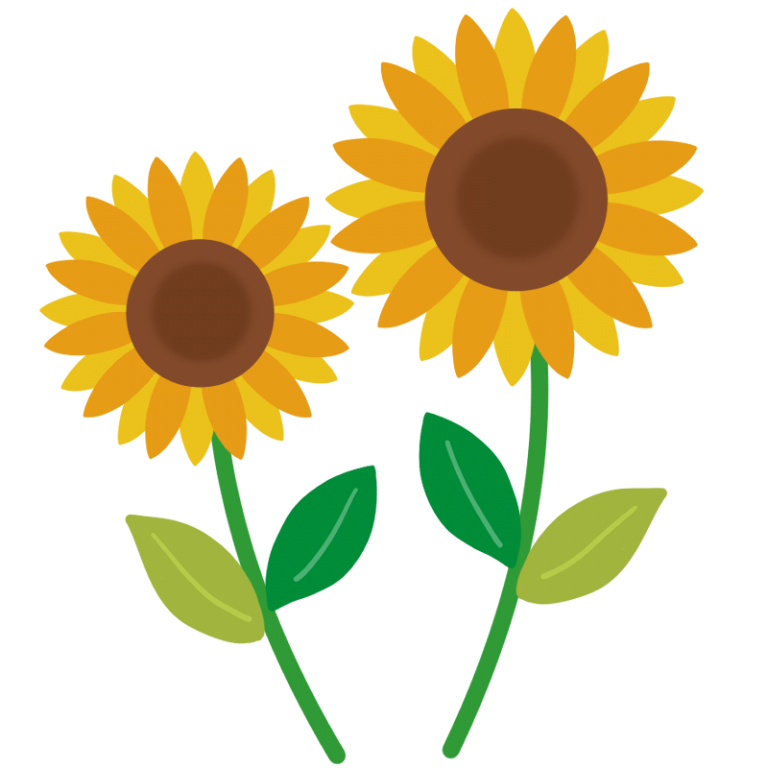 two_sunflower-768x768