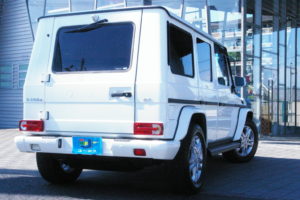 IMGP9915