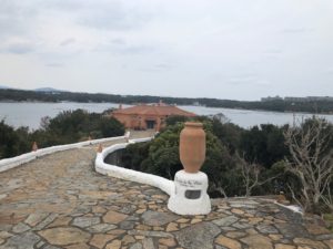 IMG_8878