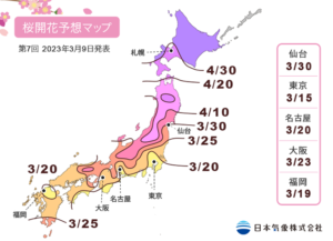 桜開花予想