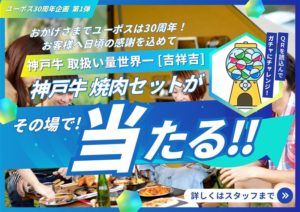 青い方