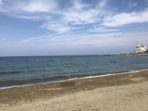 IMG_0135