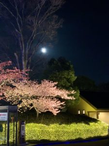 IMG_1147