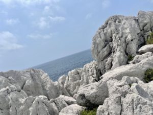 IMG_2133