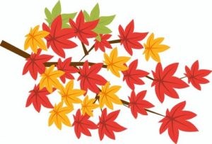 20a68640473cefec761d9d8300dd78ea_t