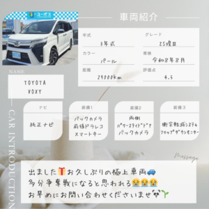 年式 (11)