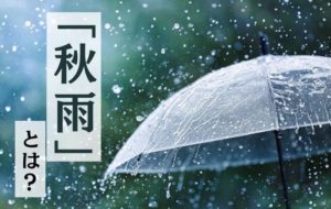 AdobeStock_366903907_