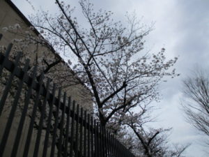 2017-04-06 10.43.55