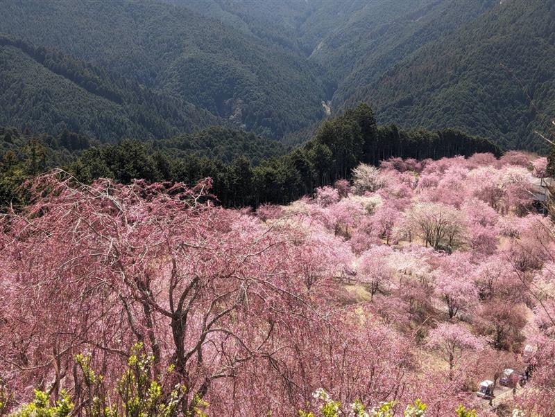 2f7654f5-0b46-4303-8f6c-253e9de0f7e7